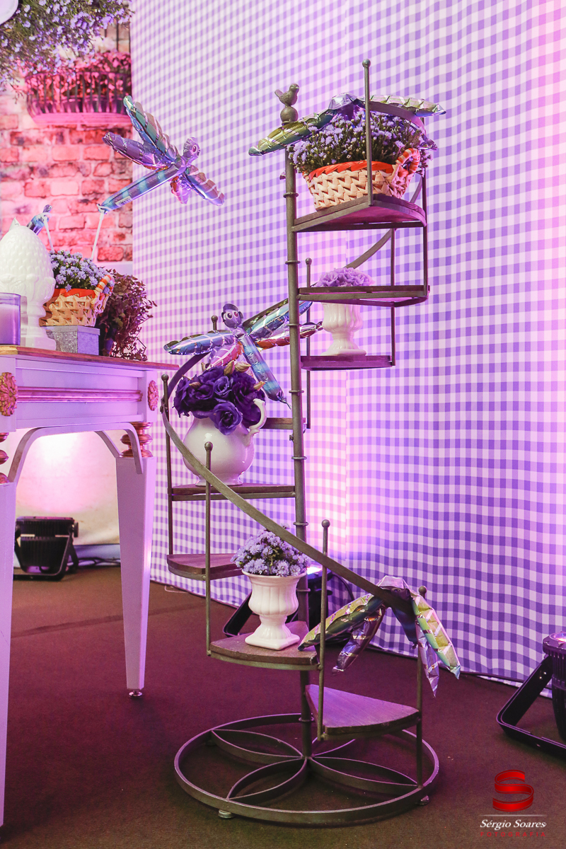 fotografia-fotografo-fotos-sergio-soares-fotografia-cuiaba-mt-brasil-aniversario-niver-liz