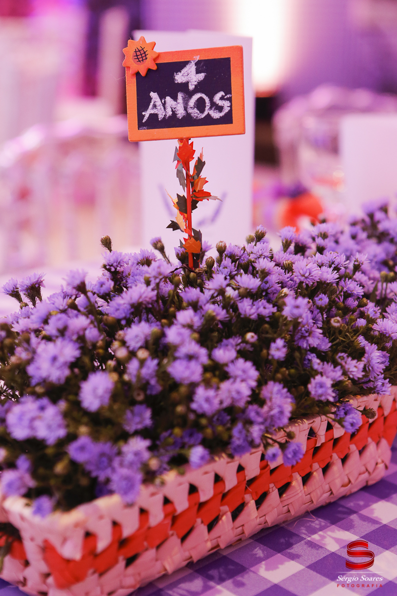fotografia-fotografo-fotos-sergio-soares-fotografia-cuiaba-mt-brasil-aniversario-niver-liz