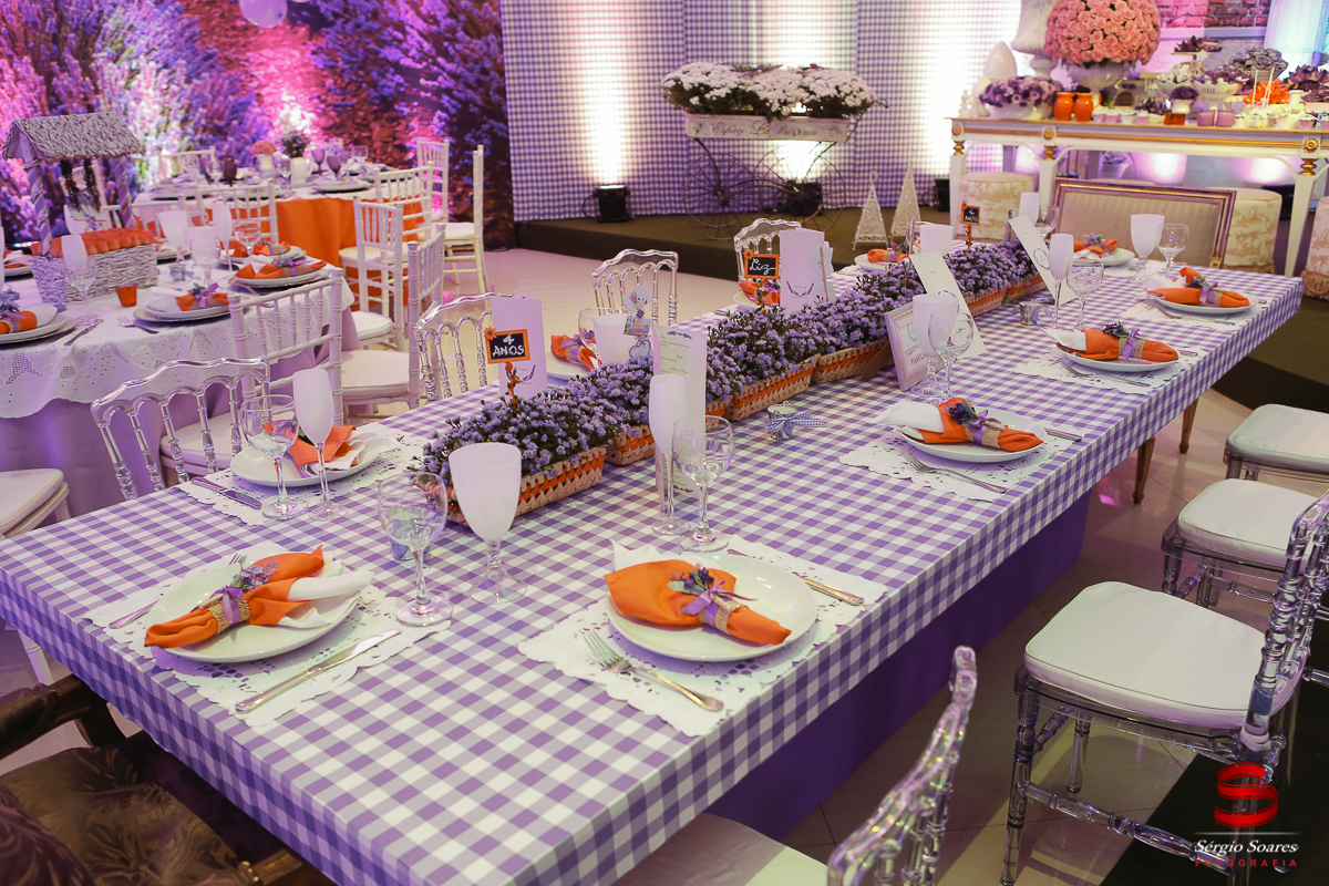 fotografia-fotografo-fotos-sergio-soares-fotografia-cuiaba-mt-brasil-aniversario-niver-liz