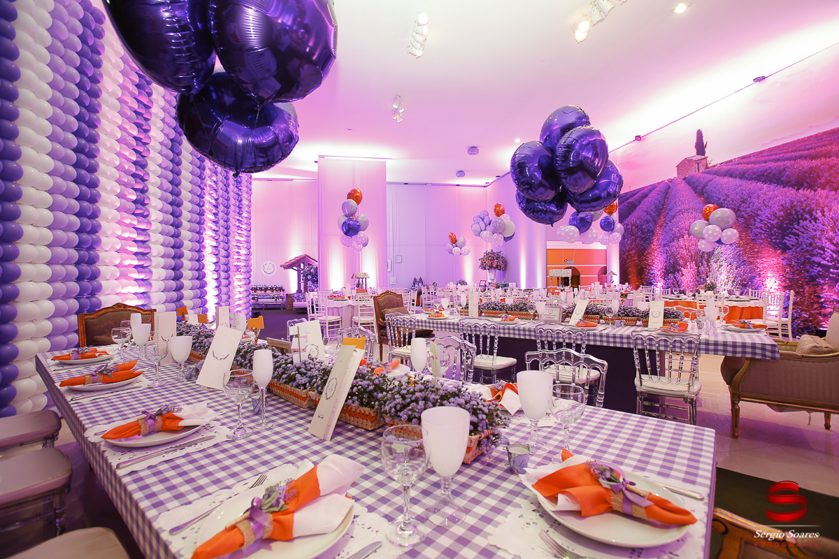 fotografia-fotografo-fotos-sergio-soares-fotografia-cuiaba-mt-brasil-aniversario-niver-liz