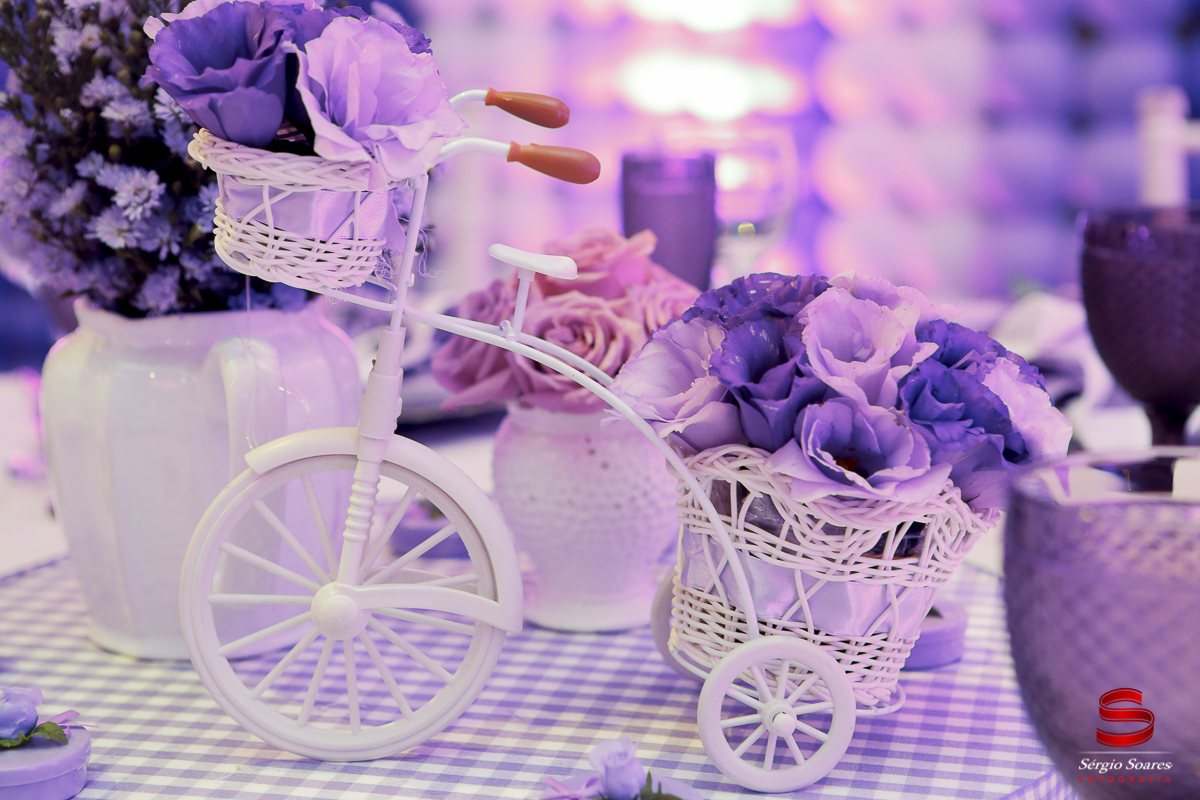 fotografia-fotografo-fotos-sergio-soares-fotografia-cuiaba-mt-brasil-aniversario-niver-liz