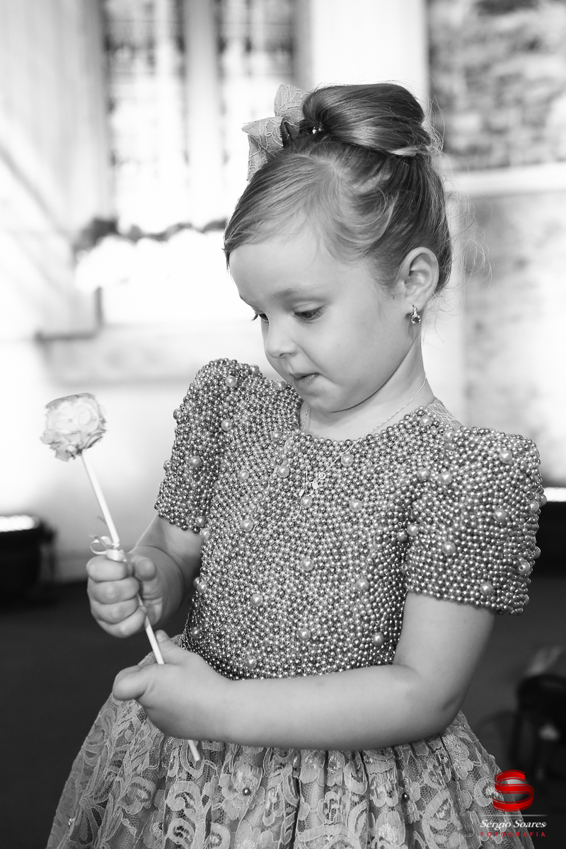 fotografia-fotografo-fotos-sergio-soares-fotografia-cuiaba-mt-brasil-aniversario-niver-liz