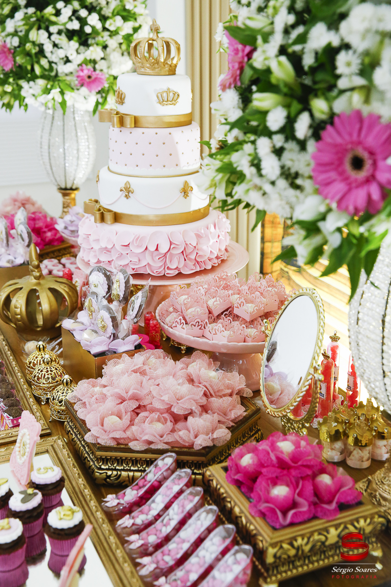 fotografia-fotografo-fotos-cuiaba-mt-brasil-sergio-soares-aniversario-anna-beatriz-escola-de-princesas