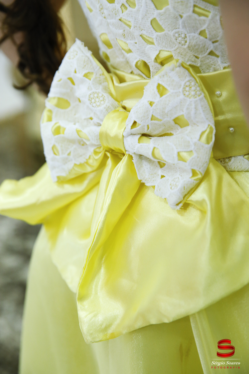 fotografia-fotografo-fotos-cuiaba-mt-brasil-sergio-soares-aniversario-anna-beatriz-escola-de-princesas