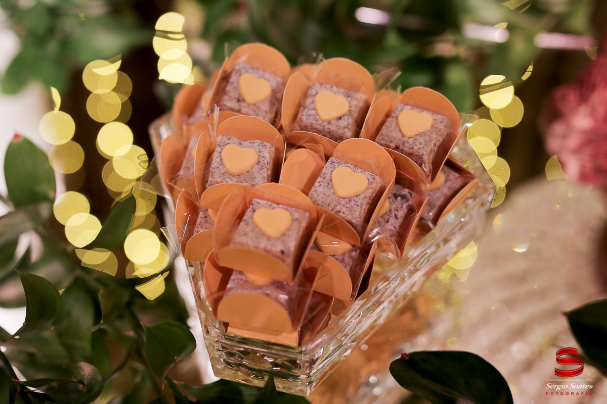 fotografia-fotografo-fotos-cuiaba-mt-sergio-soares-casamento-fernanda-rodrigo-noiva