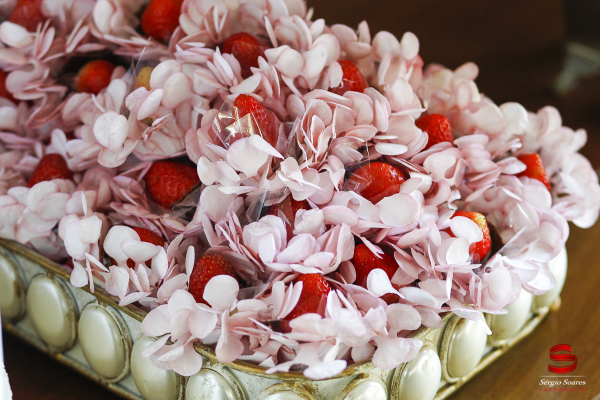 fotografo-fotografia-fotos-cuiaba-mt-sergio-soares-brasil-fotos-de-casamento-natalia-fabio