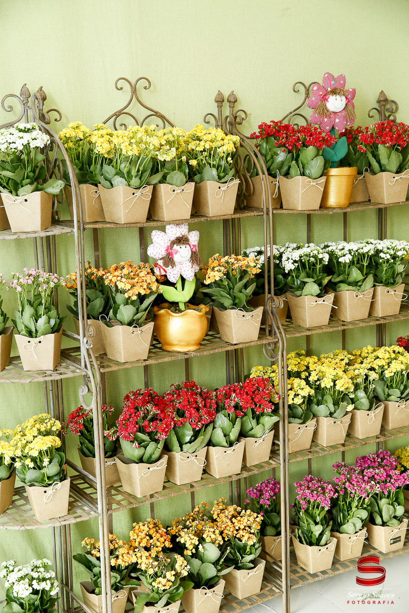 fotografo-fotografia-fotos-cuiaba-sergio-soares-aniversario-infantil-10-anos-ana-sofia