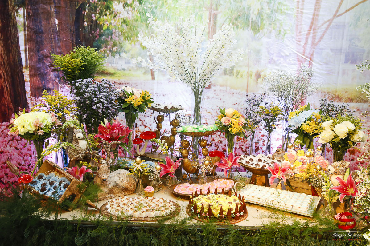 fotografo-fotografia-fotos-cuiaba-sergio-soares-aniversario-infantil-10-anos-ana-sofia