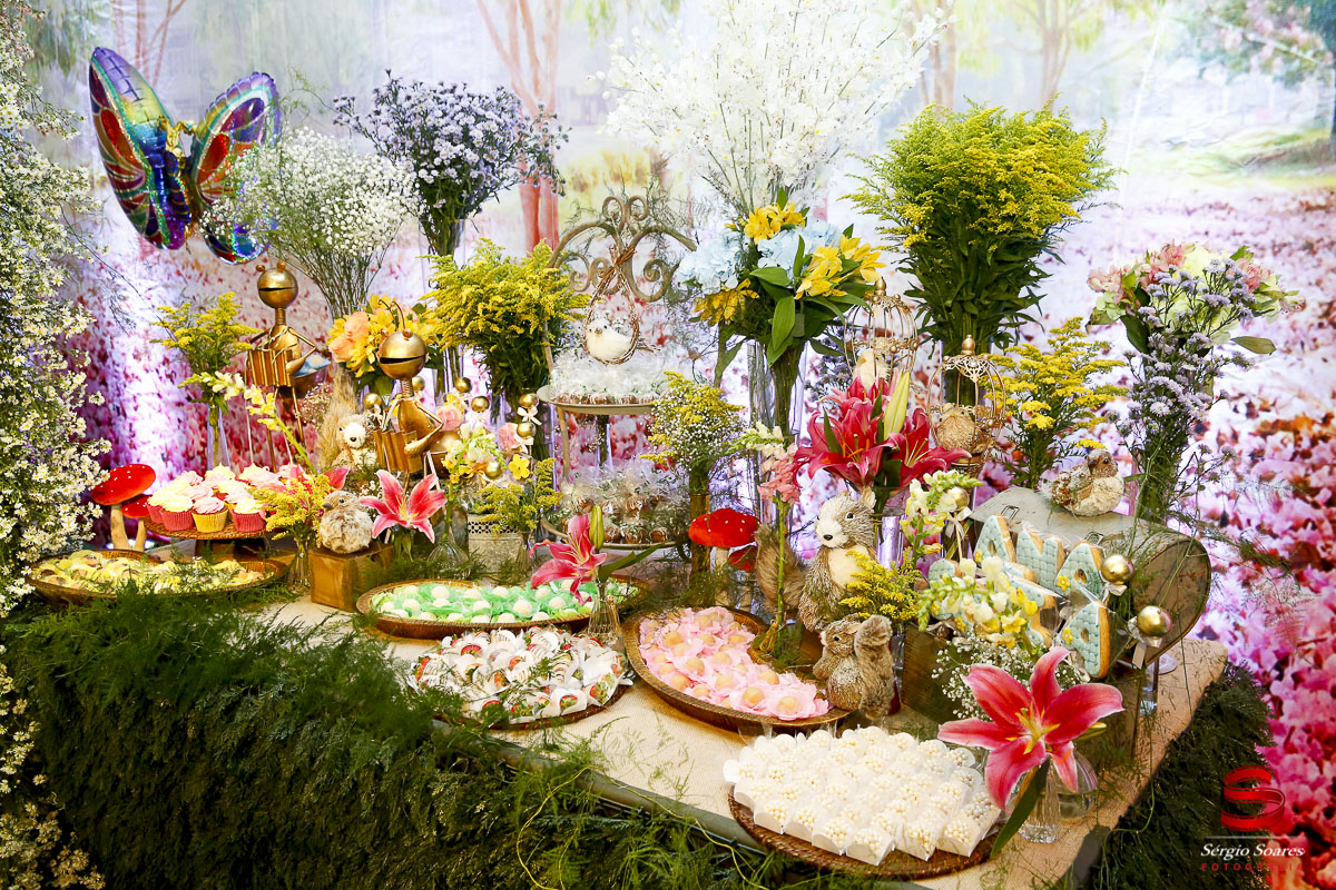 fotografo-fotografia-fotos-cuiaba-sergio-soares-aniversario-infantil-10-anos-ana-sofia