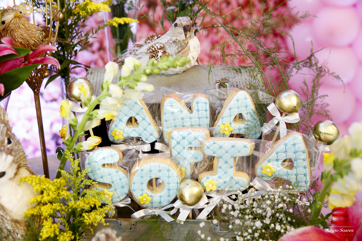 fotografo-fotografia-fotos-cuiaba-sergio-soares-aniversario-infantil-10-anos-ana-sofia