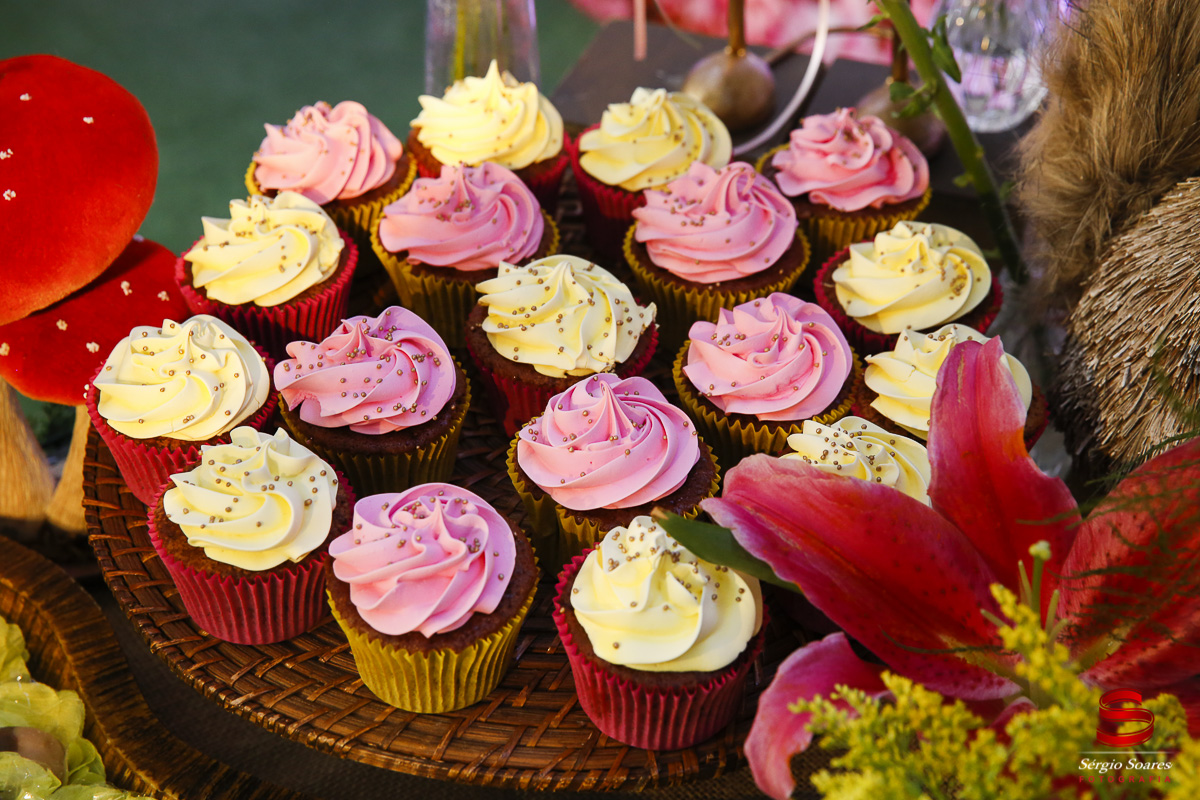 fotografo-fotografia-fotos-cuiaba-sergio-soares-aniversario-infantil-10-anos-ana-sofia