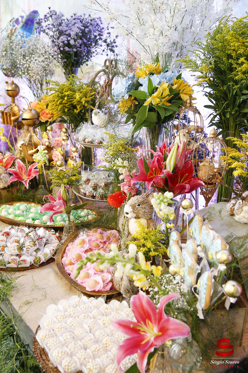 fotografo-fotografia-fotos-cuiaba-sergio-soares-aniversario-infantil-10-anos-ana-sofia