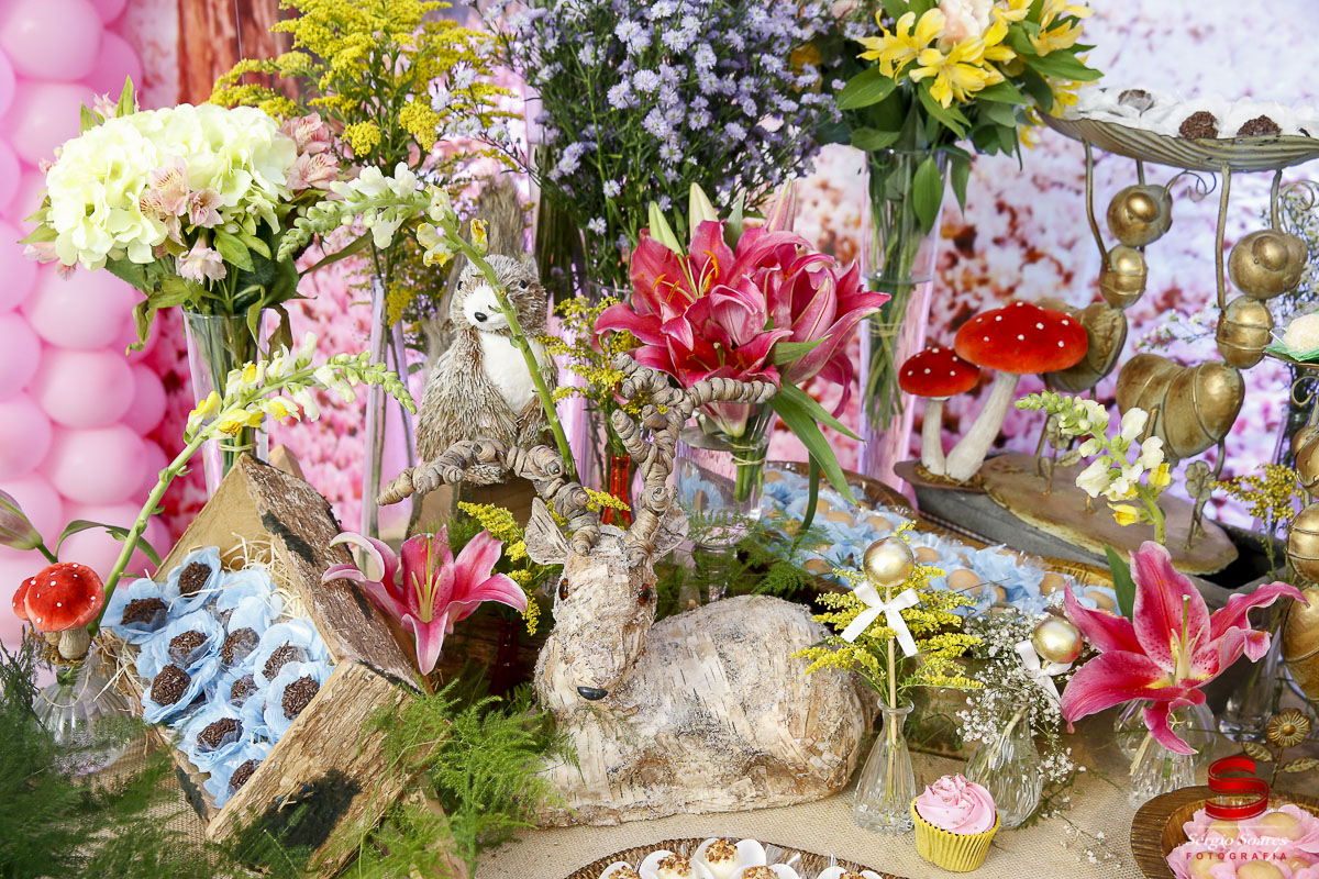 fotografo-fotografia-fotos-cuiaba-sergio-soares-aniversario-infantil-10-anos-ana-sofia