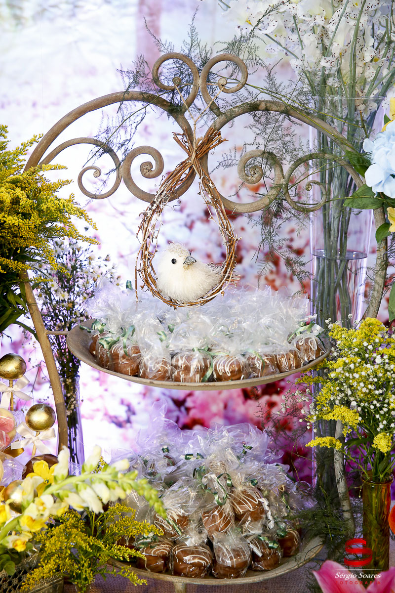 fotografo-fotografia-fotos-cuiaba-sergio-soares-aniversario-infantil-10-anos-ana-sofia