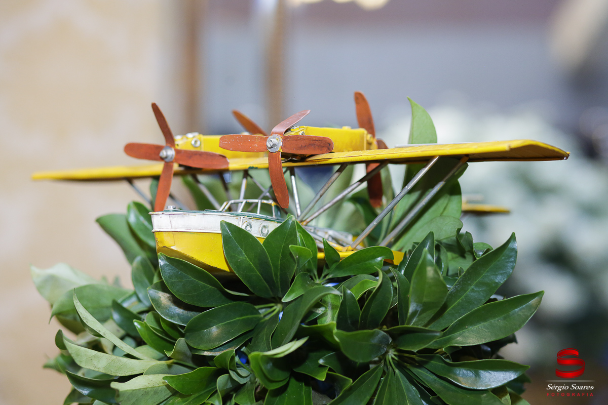 fotografo-fotografia-fotos-cuiaba-mt-sergio-soares-aniversario-1-ano-william