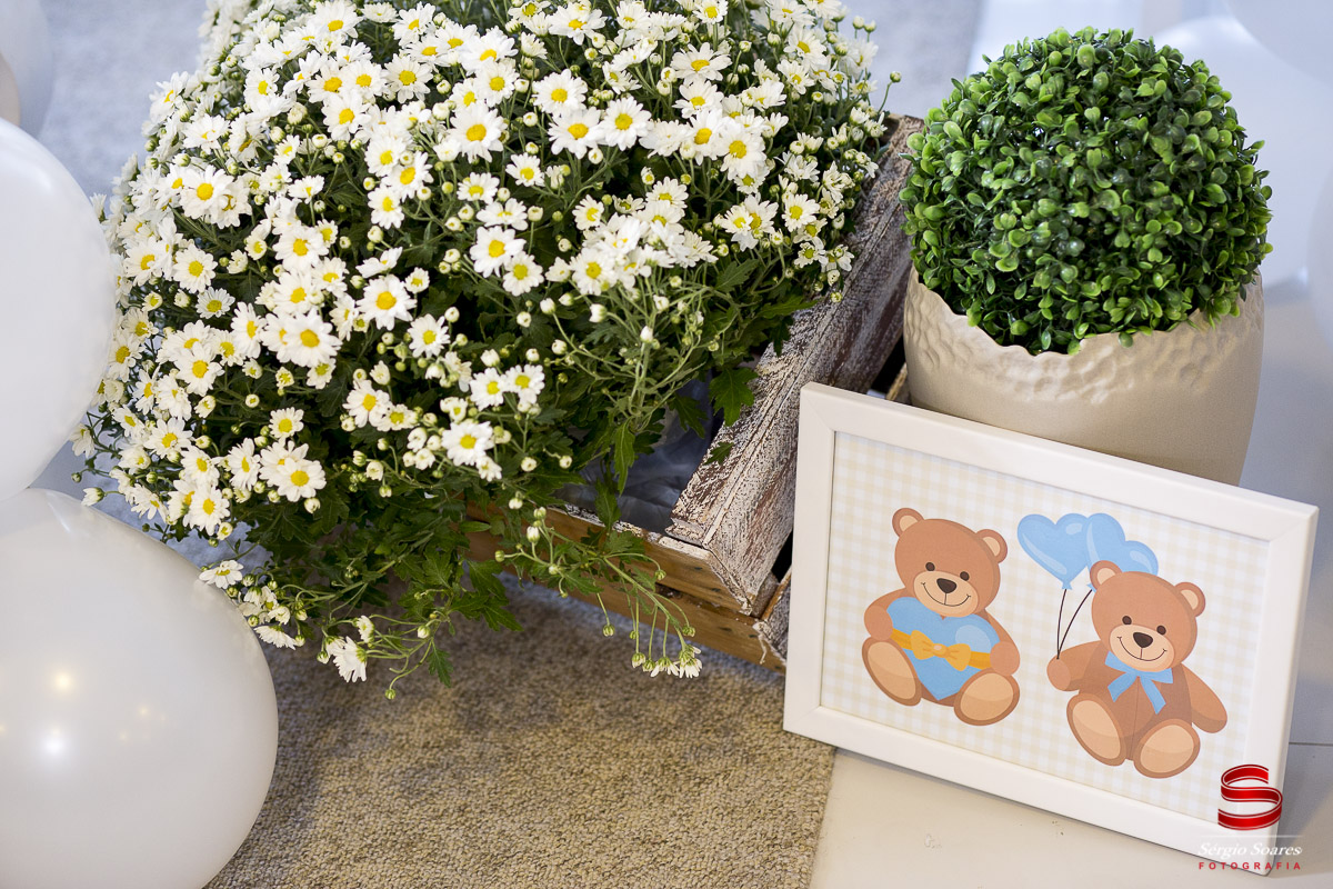 fotografia-fotografo-foto-fotos-sergio-soares-cuiaba-mt-mato-grosso-brasil-eventos-cha-de-bebe-fernanda