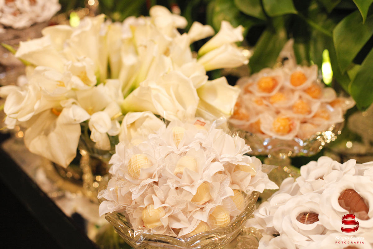 fotografia-fotografo-fotos-sergio-soares-cuiaba-mt-brasil-casamento-linnara-bruno