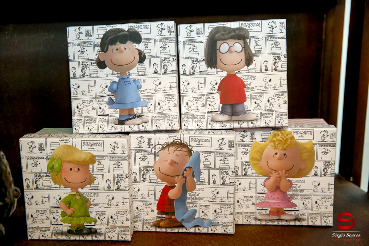 fotografia-fotografo-fotos-sergio-soares-cuiaba-mt-brasil-aniversario-matteo