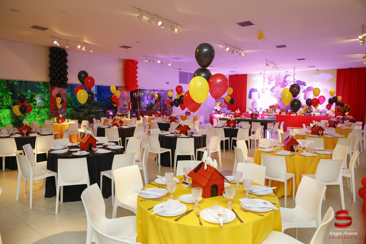 fotografia-fotografo-fotos-sergio-soares-cuiaba-mt-brasil-aniversario-matteo