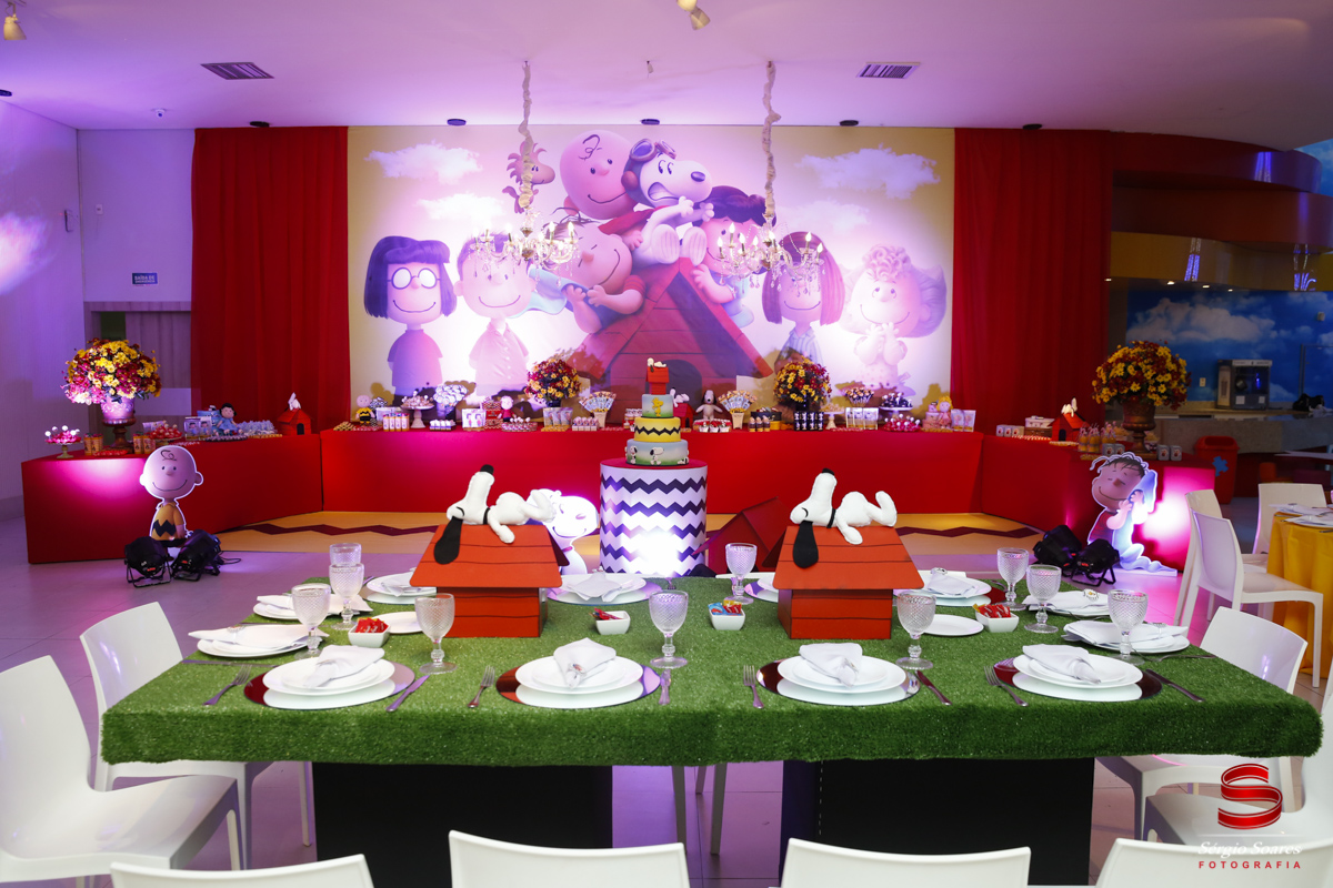 fotografia-fotografo-fotos-sergio-soares-cuiaba-mt-brasil-aniversario-matteo