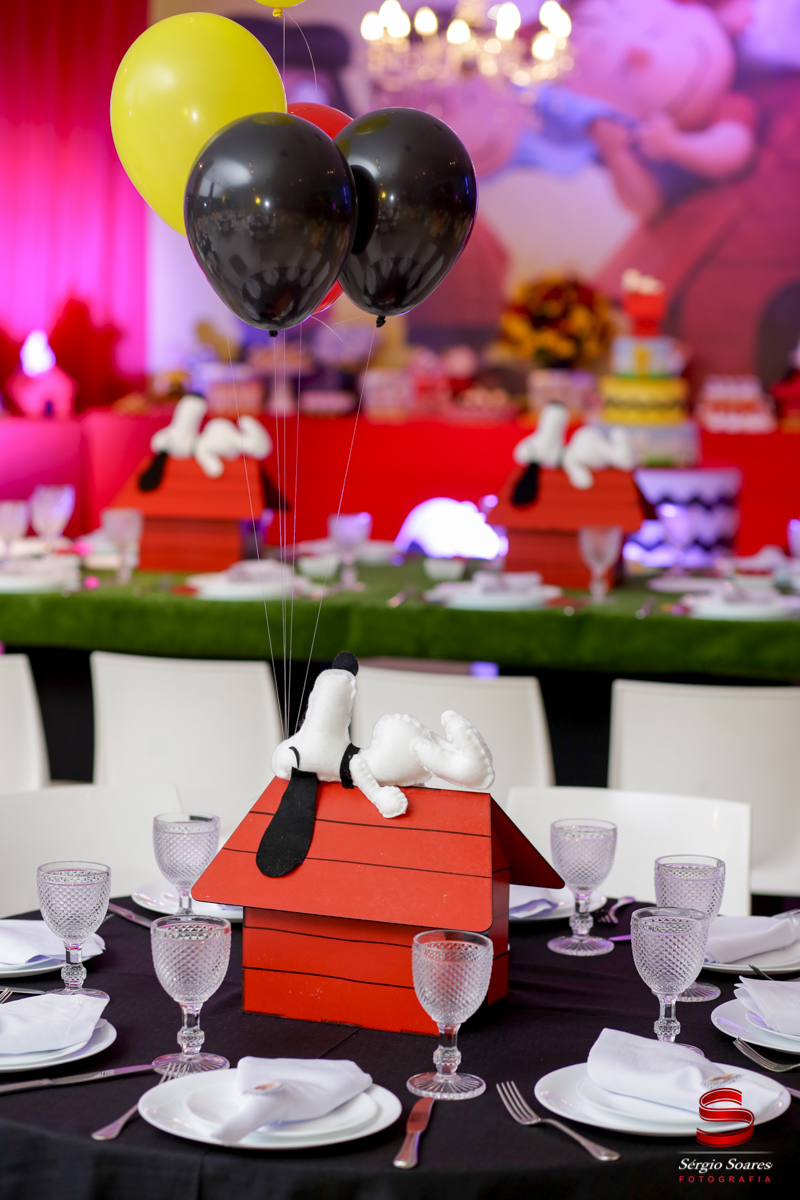 fotografia-fotografo-fotos-sergio-soares-cuiaba-mt-brasil-aniversario-matteo