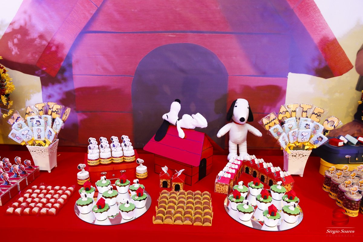 fotografia-fotografo-fotos-sergio-soares-cuiaba-mt-brasil-aniversario-matteo