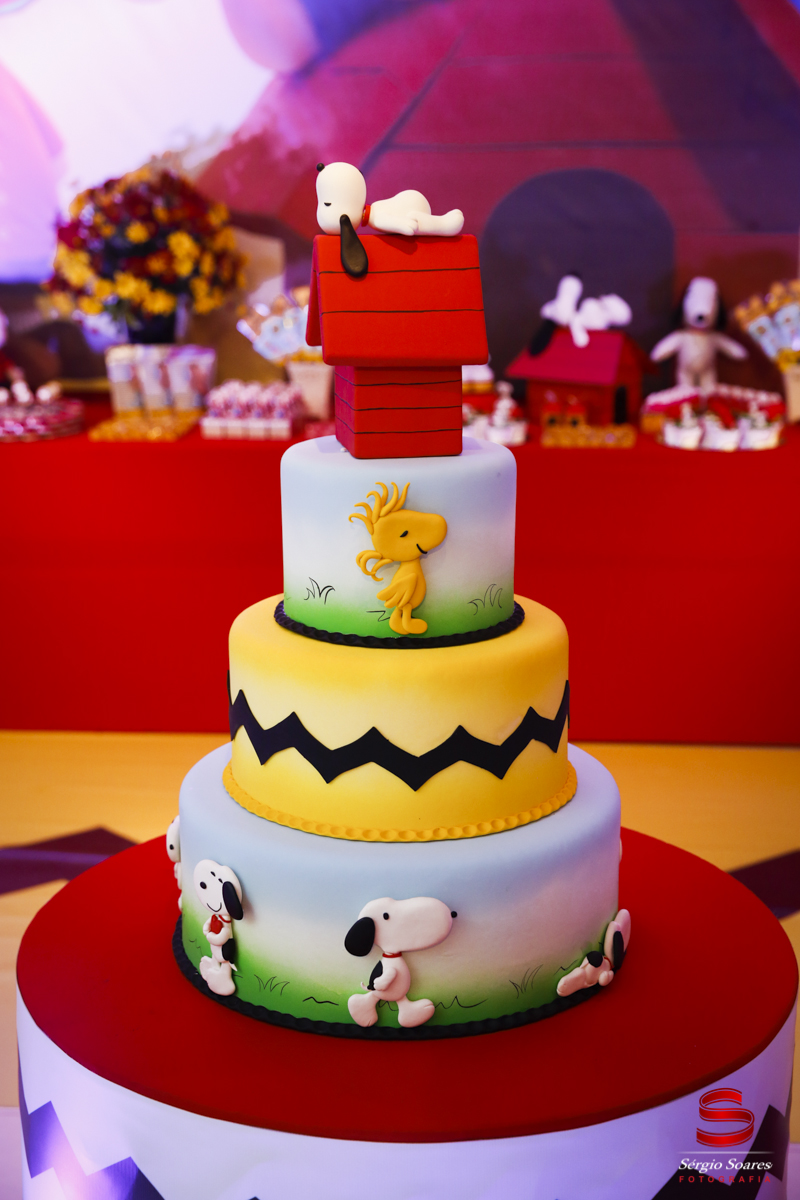 fotografia-fotografo-fotos-sergio-soares-cuiaba-mt-brasil-aniversario-matteo