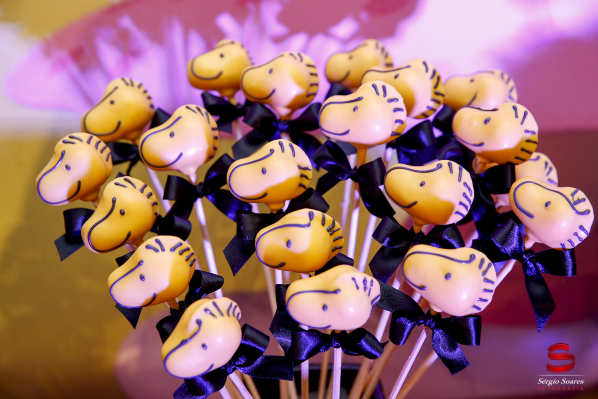 fotografia-fotografo-fotos-sergio-soares-cuiaba-mt-brasil-aniversario-matteo