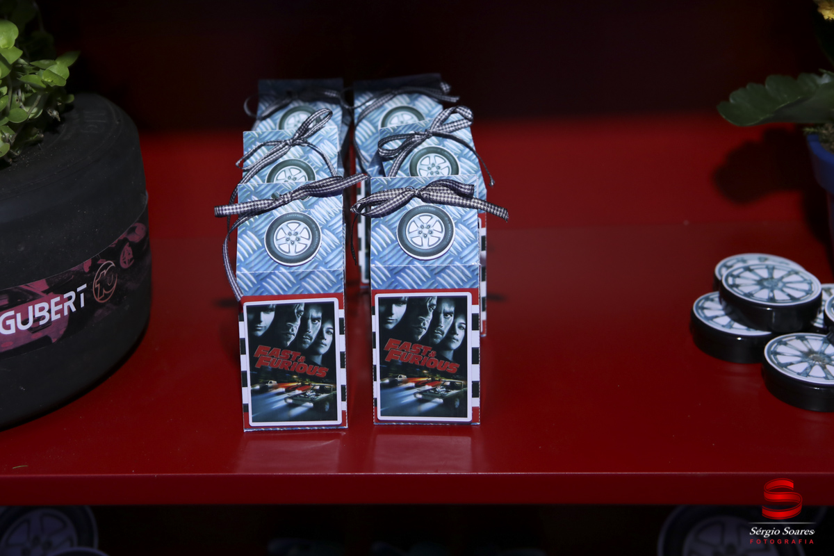 fotografia-fotografo-fotos-cuiaba-mt-brasil-aniversario-guilherme-velozes-furiosos