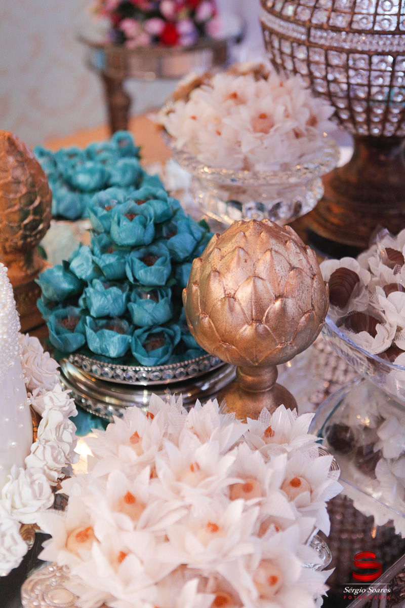 fotografo-fotografia-fotos-cuiaba-sergio-soares-mt-mato-grosso-brasil-15-anos-yohana