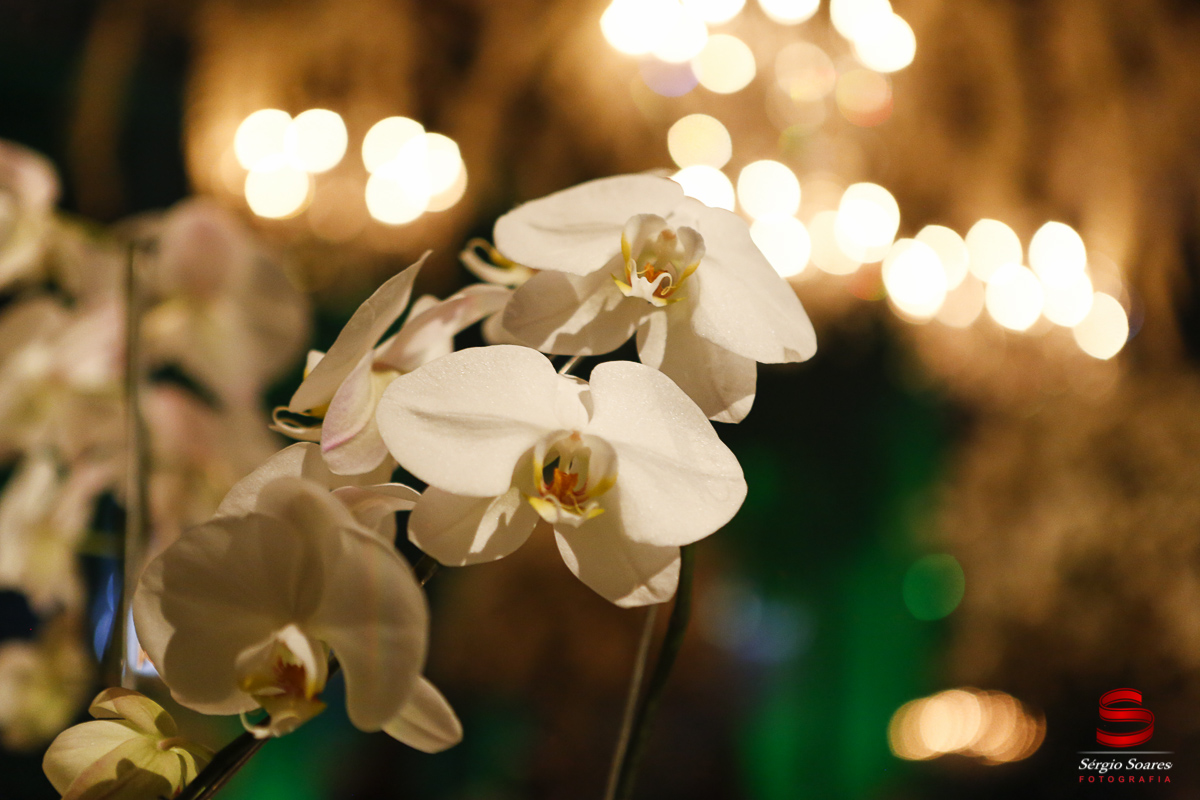 fotografo-fotografia-fotos-sergio-soares-cuiaba-mt-mato-grosso-brasil-casamento-flavia-andre-felipe