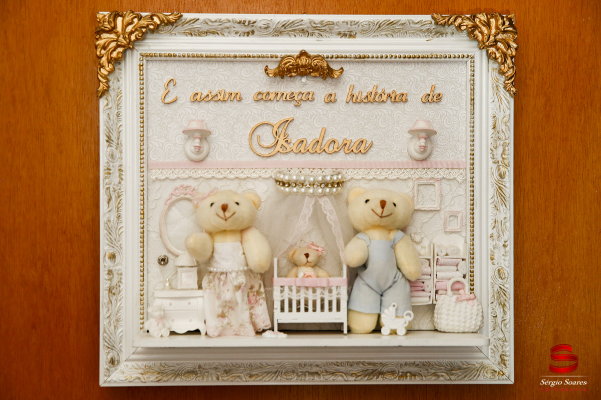 fotografo-fotografia-fotos-cuiaba-mt-brasil-mato-grosso-sergio-soares-aniversario-infantil-isadora