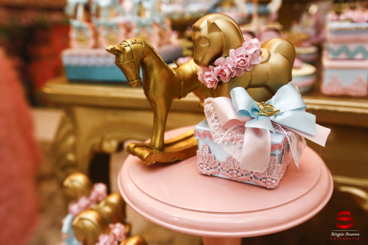 fotografo-fotografia-fotos-cuiaba-mt-brasil-mato-grosso-sergio-soares-aniversario-infantil-isadora