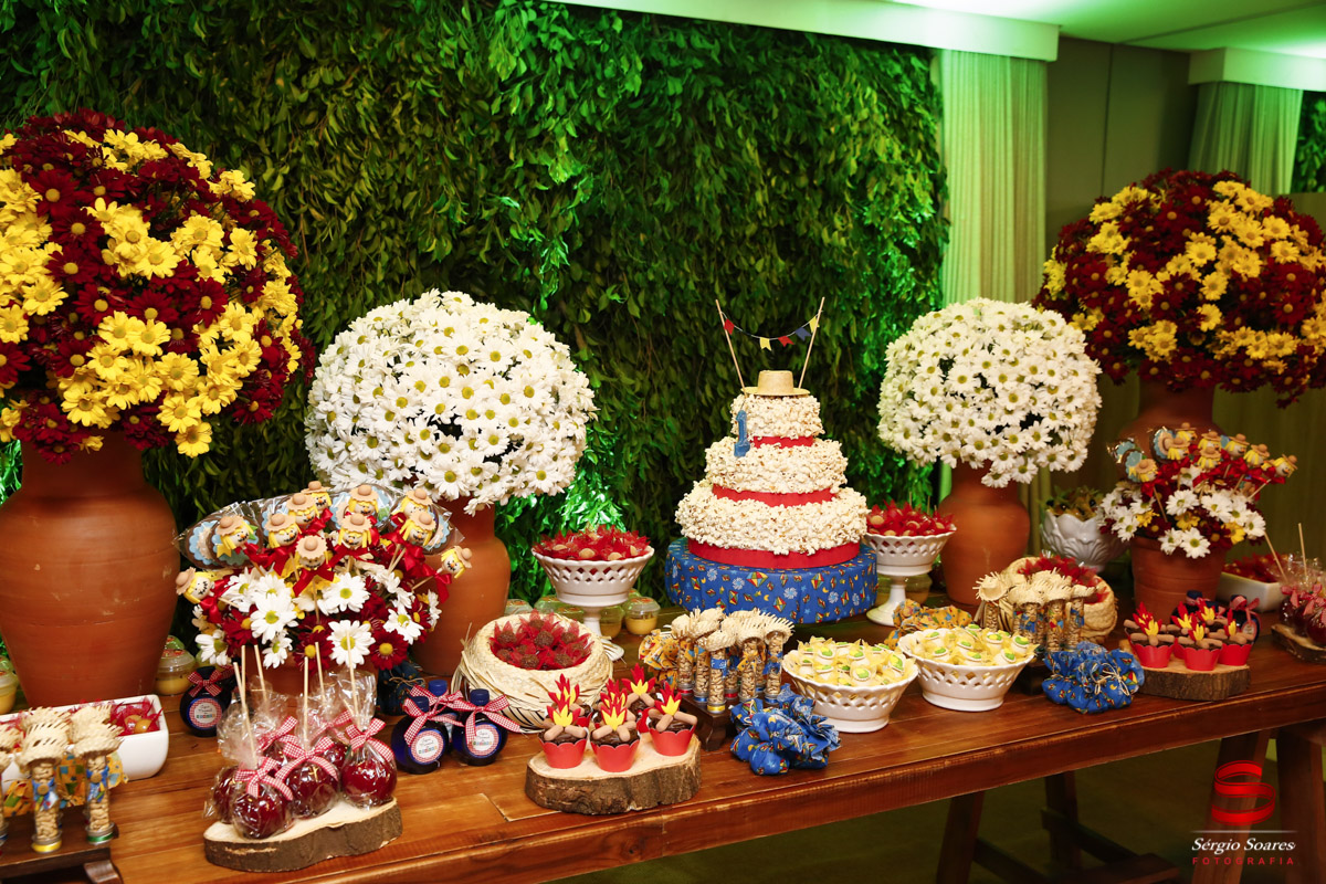 fotografo-fotografia-fotos-sergio-soares-aniversario-homero