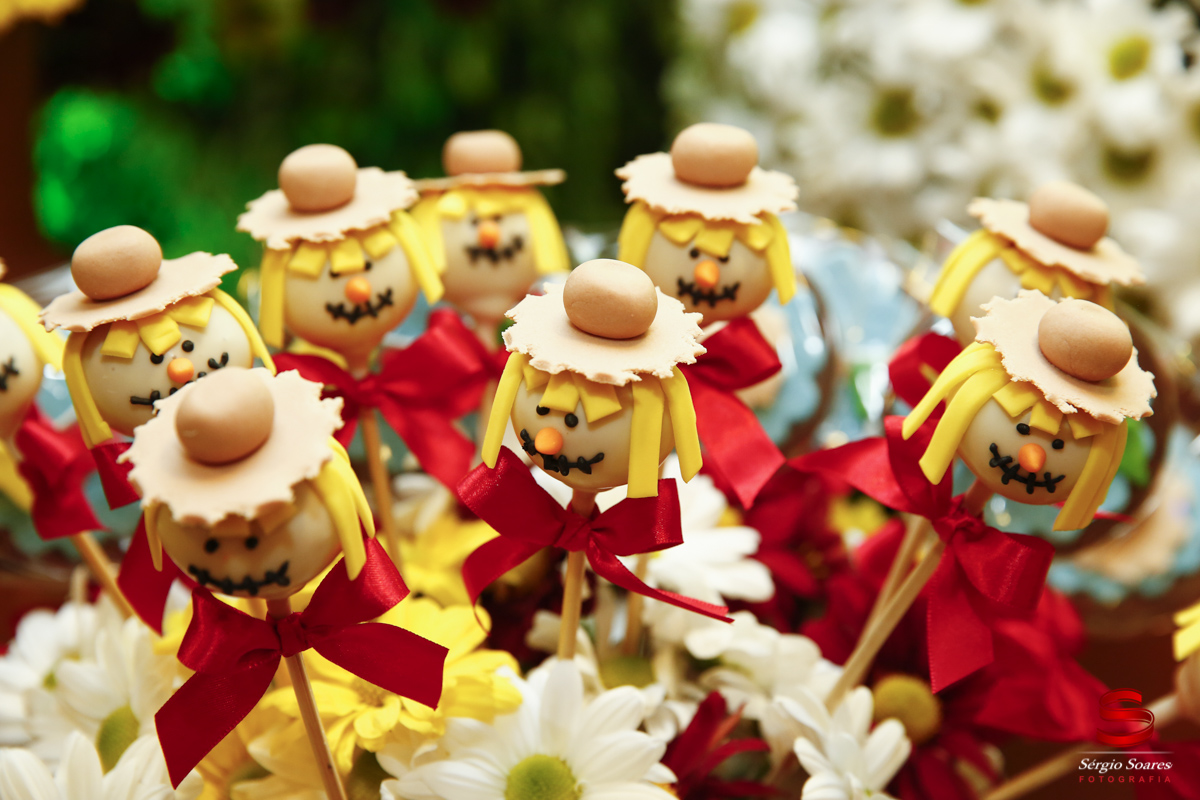 fotografo-fotografia-fotos-sergio-soares-aniversario-homero