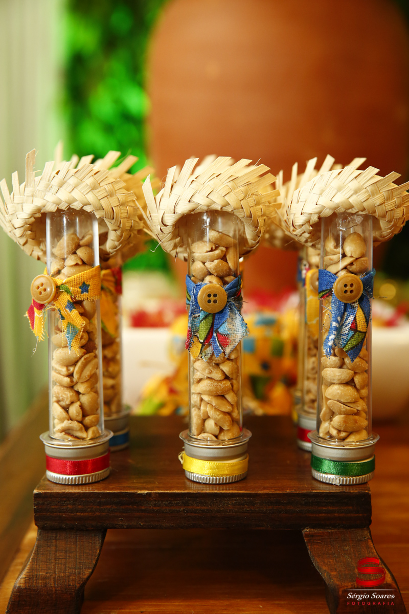 fotografo-fotografia-fotos-sergio-soares-aniversario-homero