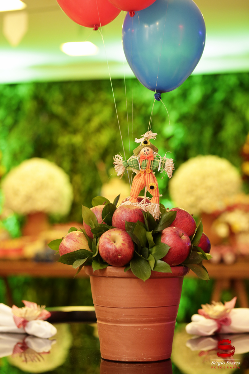 fotografo-fotografia-fotos-sergio-soares-aniversario-homero