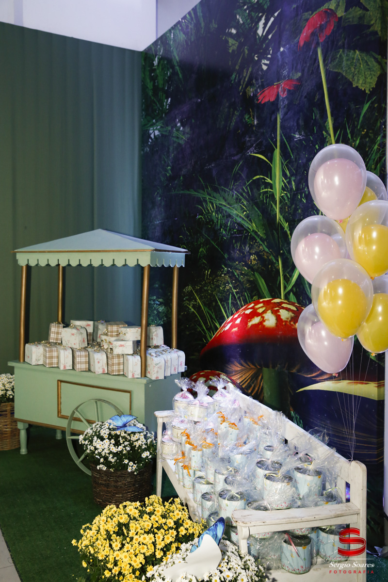 fotografo-fotografia-fotos-sergio-soares-cuiaba-brasil-mt-mato-grosso-aniversario-1-ano-marcela