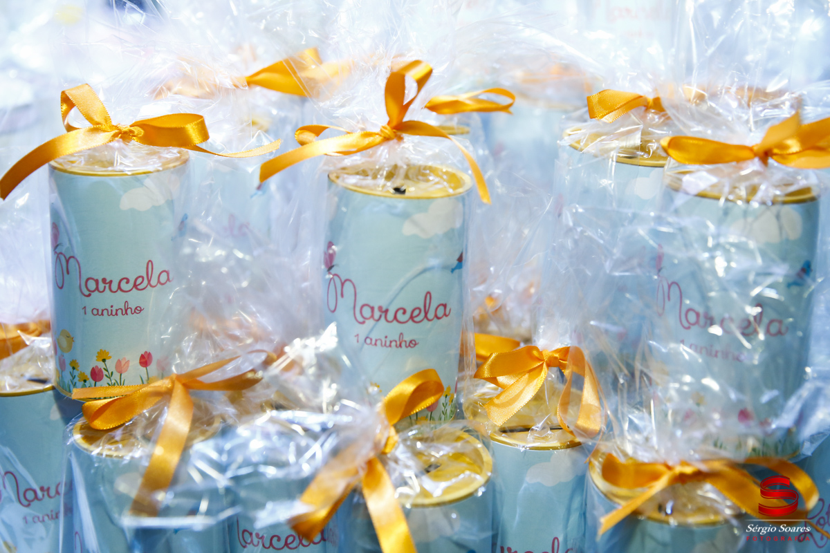 fotografo-fotografia-fotos-sergio-soares-cuiaba-brasil-mt-mato-grosso-aniversario-1-ano-marcela