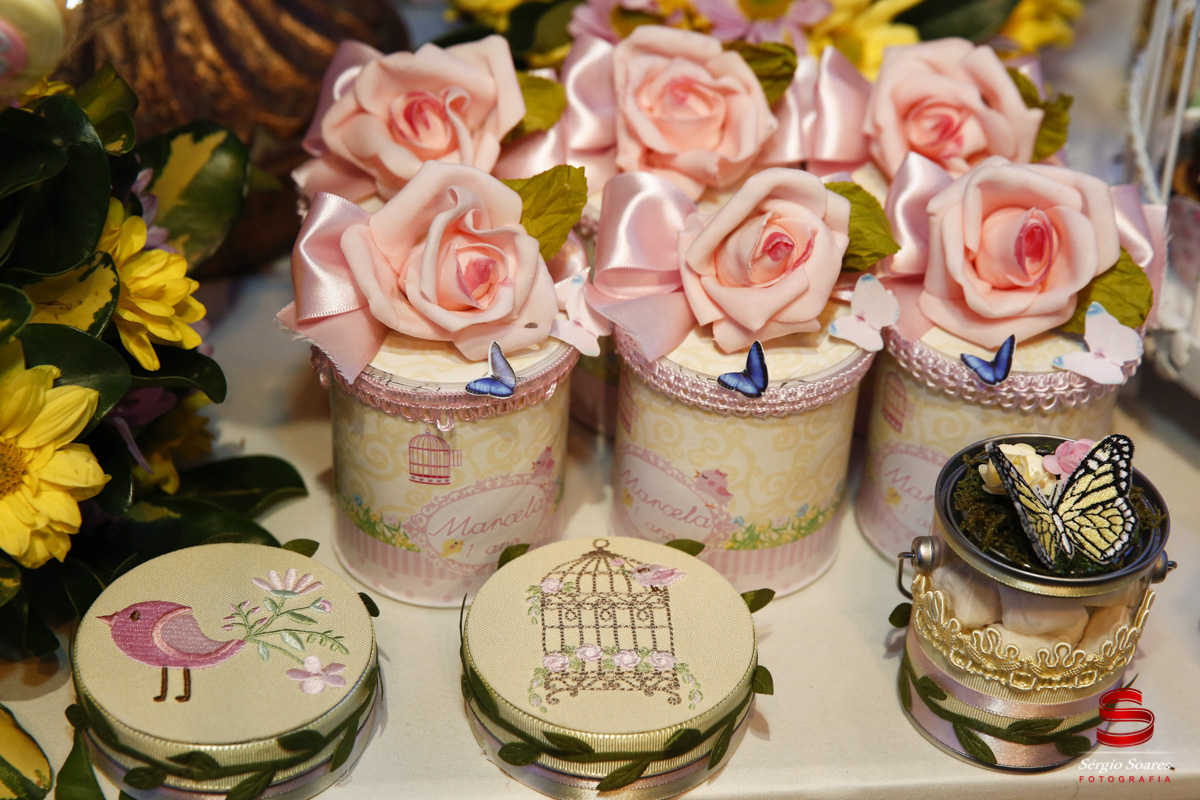 fotografo-fotografia-fotos-sergio-soares-cuiaba-brasil-mt-mato-grosso-aniversario-1-ano-marcela