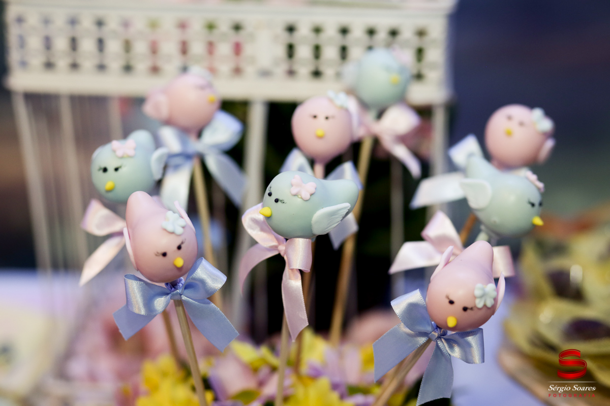 fotografo-fotografia-fotos-sergio-soares-cuiaba-brasil-mt-mato-grosso-aniversario-1-ano-marcela