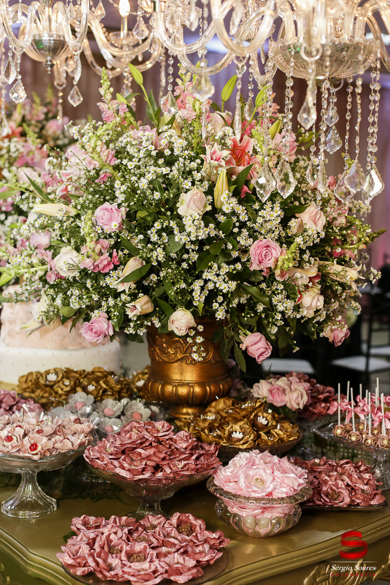 fotografo-fotografia-fotos-cuiaba-sergio-soares-mt-mato-grosso-brasil-aniversario-15-anos-juliana