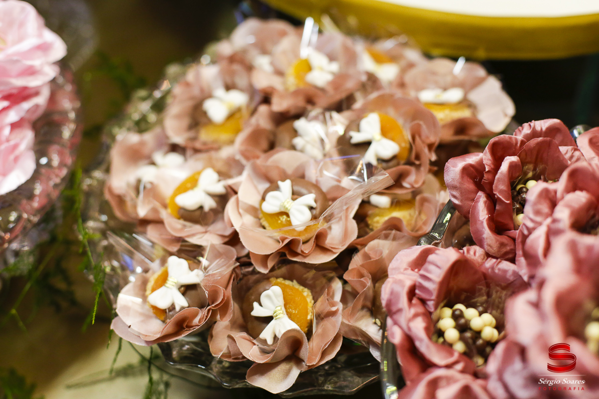 fotografo-fotografia-fotos-cuiaba-sergio-soares-mt-mato-grosso-brasil-aniversario-15-anos-juliana