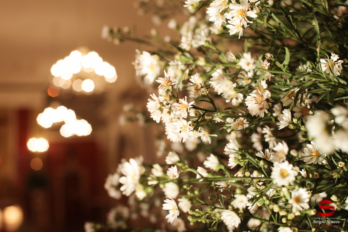 fotografo-fotografia-fotos-sergio-soares-cuiaba-brasil-mt-mato-grosso-casamento-jaiane-wilson