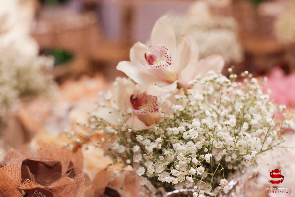 fotografo-fotografia-fotos-sergio-soares-cuiaba-brasil-mt-mato-grosso-casamento-jaiane-wilson