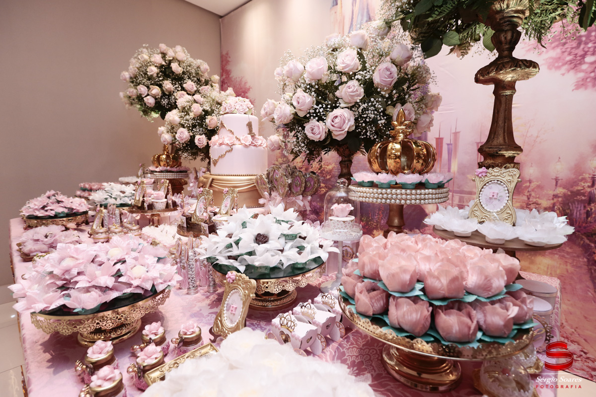 fotografo-fotografia-fotos-cuiaba-sergio-soares-mt-mato-grosso-aniversario-helena