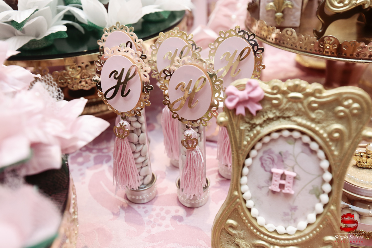 fotografo-fotografia-fotos-cuiaba-sergio-soares-mt-mato-grosso-aniversario-helena