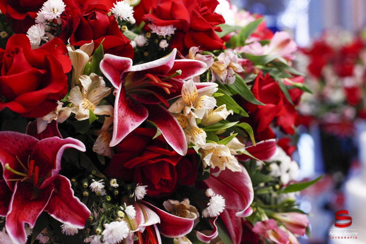 fotografo-fotografia-fotos-cuiaba-sergio-soares-mt-mato-grosso-brasil-aniversario-15-anos-ana-luiza