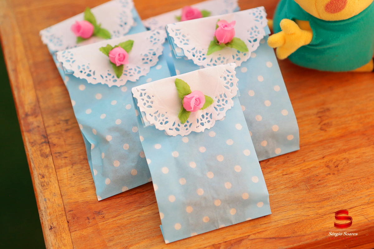 fotografo-fotografia-fotos-cuiaba-sergio-soares-mt-mato-grosso-brasil-aniversario-barbara