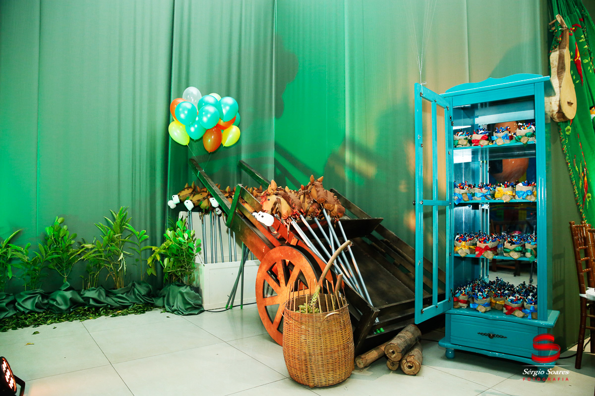 fotografo-fotografia-fotos-cuiaba-sergio-soares-mt-mato-grosso-brasil-aniversario-infantil-rafinha